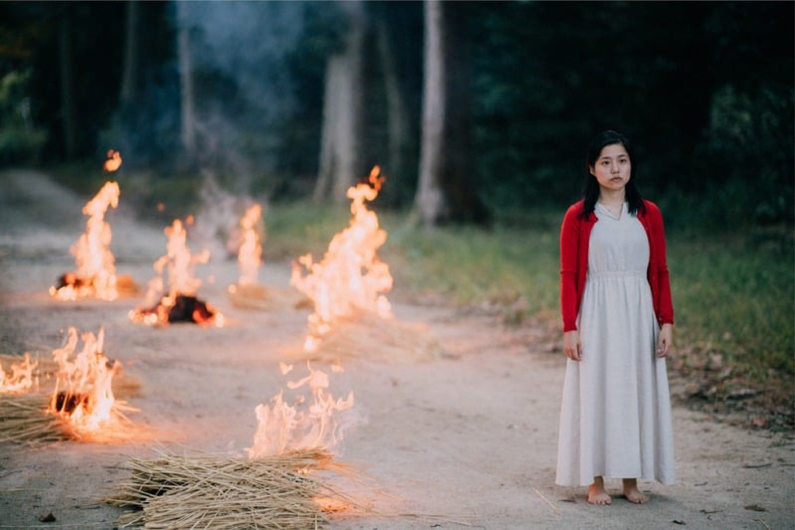 全日本ろうあ連盟創立60周年記念映画
「ゆずり葉」DVD　今井絵理子　手話　ろう 映画「わたしたちに祝福を」公式HP